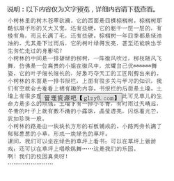 校園一角松樹作文怎么寫