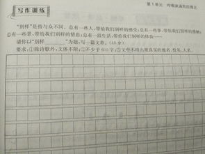 發(fā)現(xiàn)校園之美作文700字