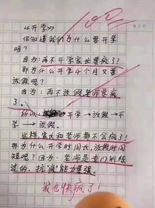 校園我的最愛作文
