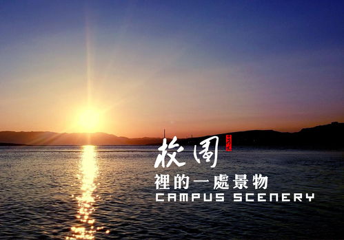 寫校園的景物300個字作文