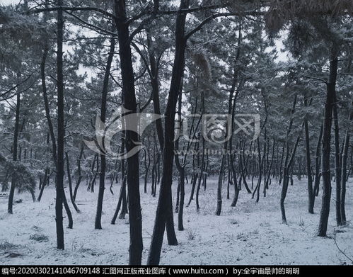 校園雪景運(yùn)用視聽觸作文