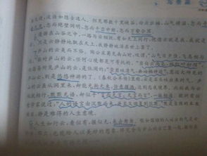 什么風光無限作文,大千世界風光無限作文,風光無限的田野作文