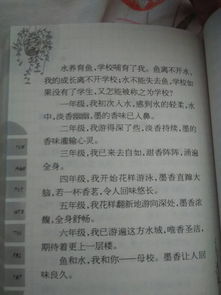 學校校園的標志物大石頭作文