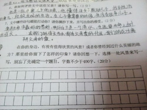 春天的校園寫景作文350字左右