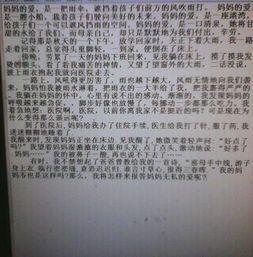 4oo字作文寫校園