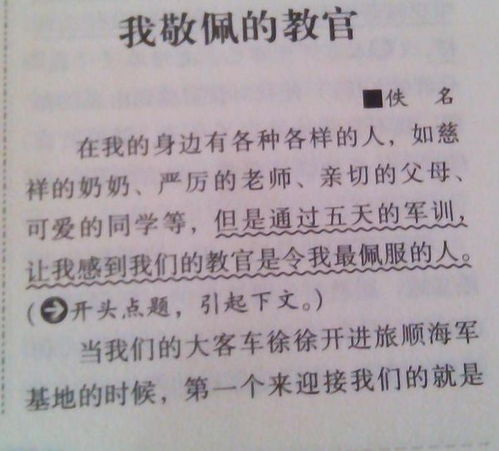 作文,四級(jí),風(fēng)景線(xiàn),校園