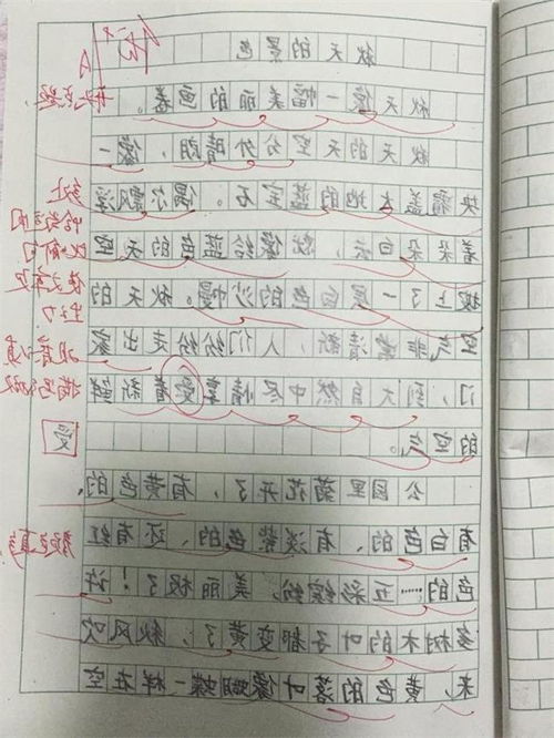 描寫校園里樹的作文三級