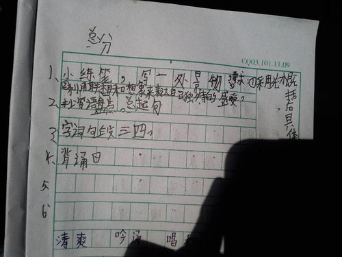 寫景,作文,小學(xué)生,字左右