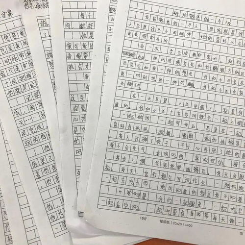 作文,校園