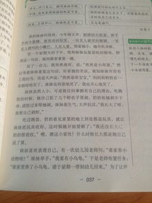 作文,寫一篇,校園