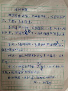四級(jí)描寫我的校園的作文
