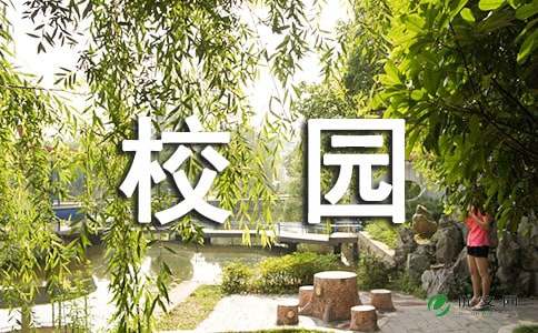 我的校園我的家作文500