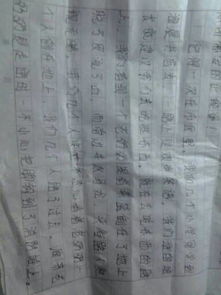 中國(guó)校園里的正能量作文1000字