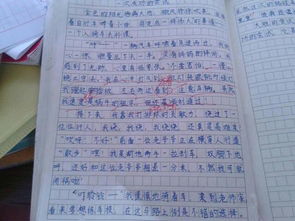 作文,初中,記憶,校園