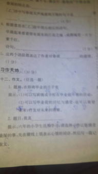 校園里的三八線戰(zhàn)爭(zhēng)作文