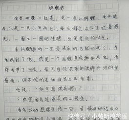 小學(xué)作文秋天的校園,小學(xué)三年級(jí)作文校園的一角,小學(xué)三年級(jí)作文我的校園