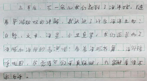 我愛,作文,美麗,校園