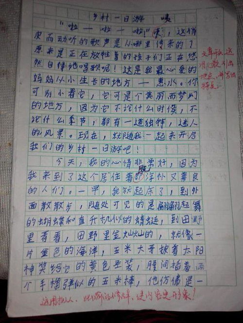 寫校園一處景物描寫300字作文