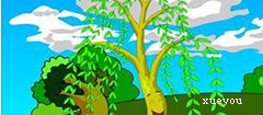 校園的柳樹作文沒有春夏秋冬