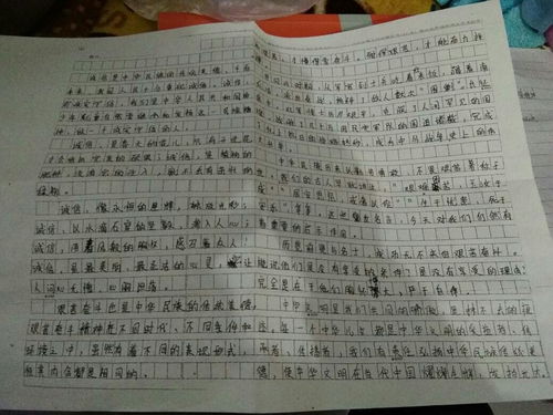 標(biāo)題校園文化作文300字