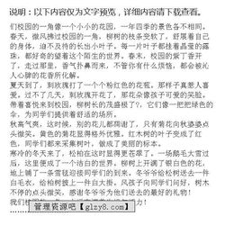 作文,實(shí)驗(yàn)學(xué)校,校園