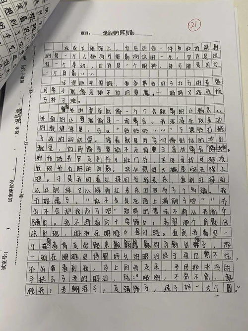 校園讀書生活作文600字作文大全