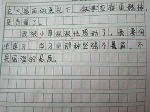 描寫校園作文好開頭和結(jié)尾怎么寫