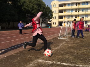 安吉第三小學校園作文