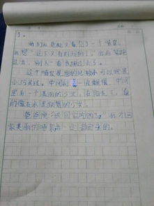四級校園的觀察一處景物作文400字