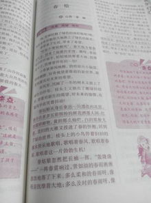 公園春夏秋冬寫景作文400字,春夏秋冬寫景作文300字,按春夏秋冬時間順序的寫景作文