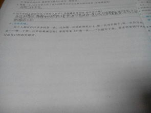 校園的樟樹(shù)作文300字四年級(jí),校園里的樟樹(shù)作文,校園的大樟樹(shù)作文400字春夏秋冬