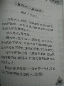 校園活動改變了我600字作文開頭結尾