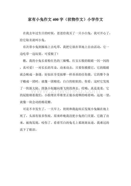 小學(xué)校園故事的作文400字