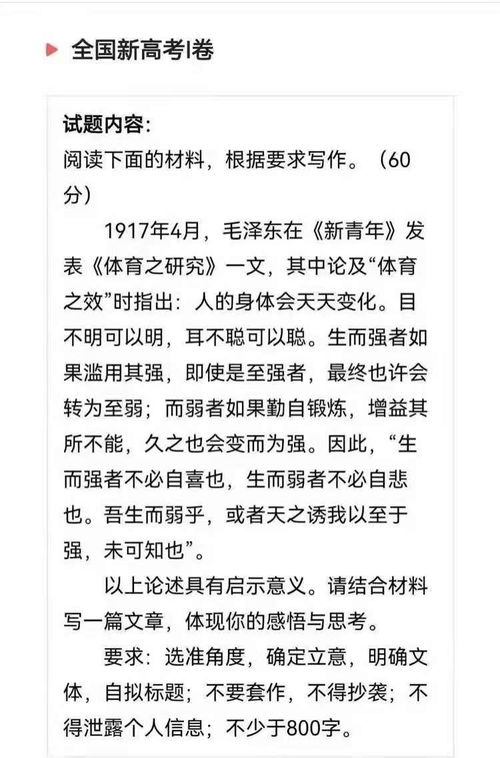 寫校園體育活動的作文