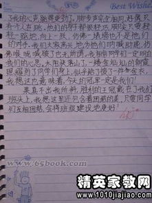 校園秋季運(yùn)動會作文500字左右