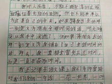 陽光校園作文體育