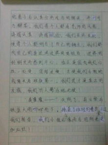 作文,預(yù)備,校園生活,素材