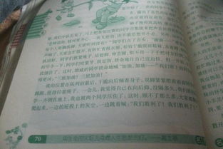 關(guān)于學校校園運動會的作文