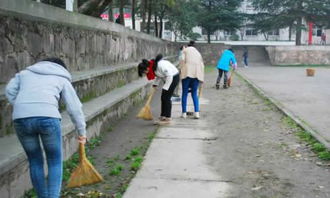 校園大掃除作文300字點面結(jié)合,校園大掃除作文600字以上,校園大掃除作文600字點面結(jié)合