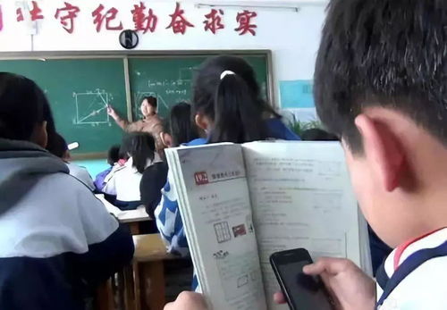 作文,進(jìn)校園,手機(jī),高中生