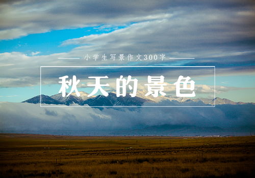 作文寫(xiě)校園的景色的作文300字三級(jí)作文