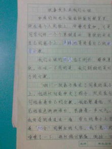 關(guān)于校園生活的作文素材,校園生活作文素材事例,校園生活類的作文素材