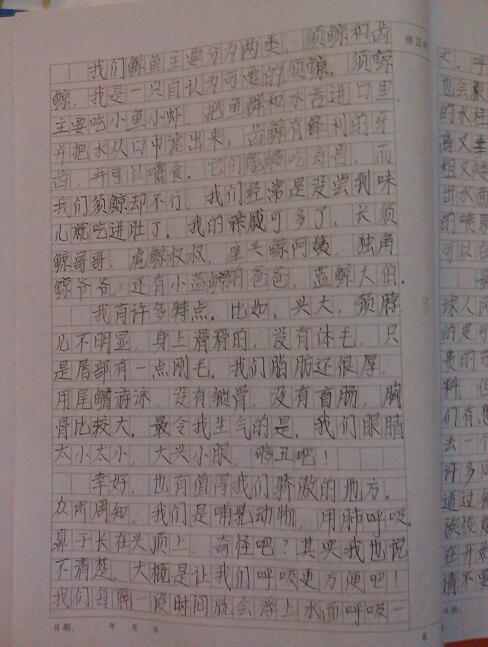 作文,之情,大學校園