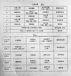 校園里的愛(ài)的午餐作文