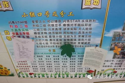 我的新校園作文400字四年級,我們的新校園作文400字,走進新校園作文400字(剛升初一)