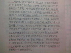 上初中來到新校園新同學(xué)作文500字