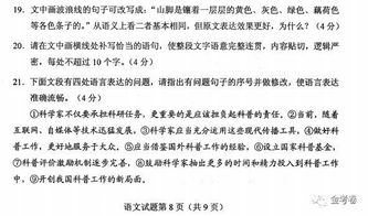 作文,該不該,高考語文,進校園