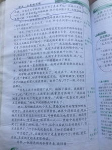 小學(xué)校園衛(wèi)生作文400字