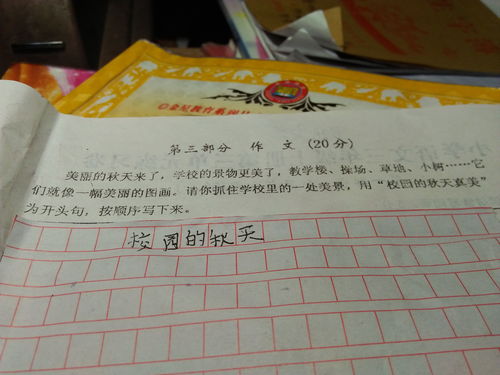 小學(xué)三級(jí)作文深秋的校園