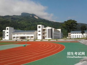 關于新校園新的環(huán)境的作文